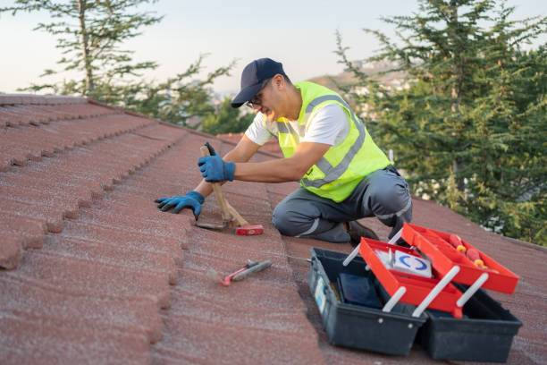 Best Storm Damage Roof Repair  in Mount Zion, IL